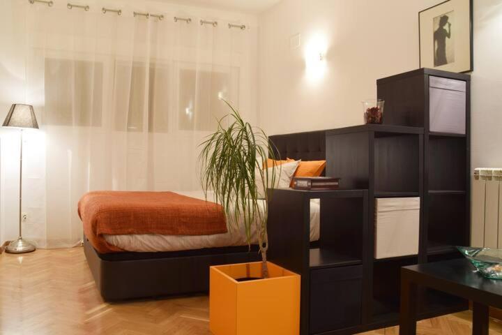 Estudio Acogedor Y Luminoso Appartement Madrid Buitenkant foto